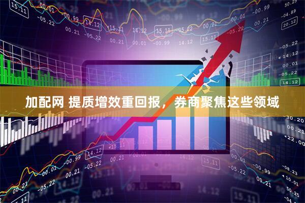加配网 提质增效重回报，券商聚焦这些领域