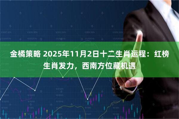 金橘策略 2025年11月2日十二生肖运程：红榜生肖发力，西南方位藏机遇